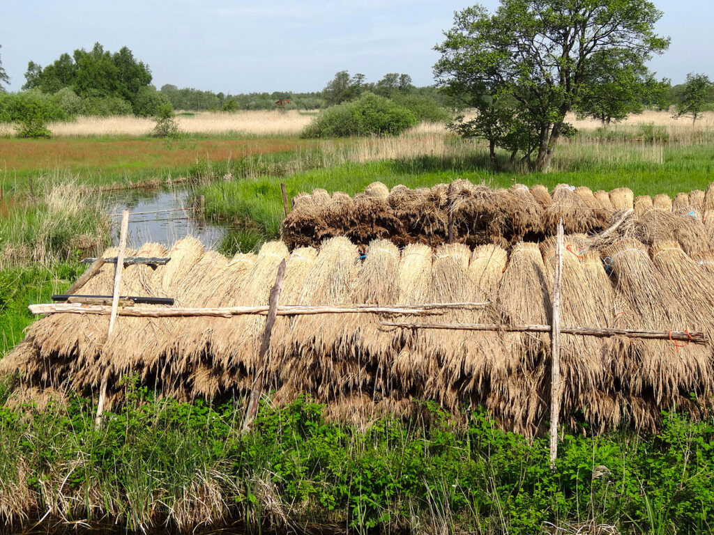 Natuurmonumenten: W 118 lat od jednego "bajora", do 112 tys. ha chronionej przyrody 10 20140505 De Wieden vanaf De Bramen2