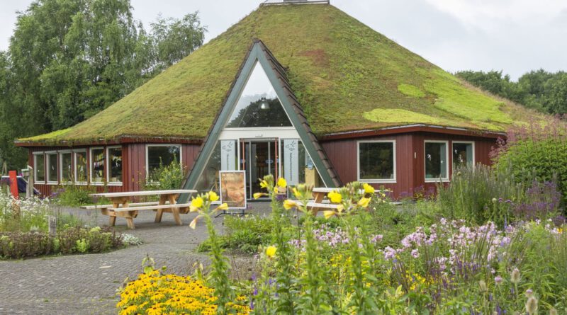 Holandia Natuurmonumenten przyroda rezrwaty atrakcje