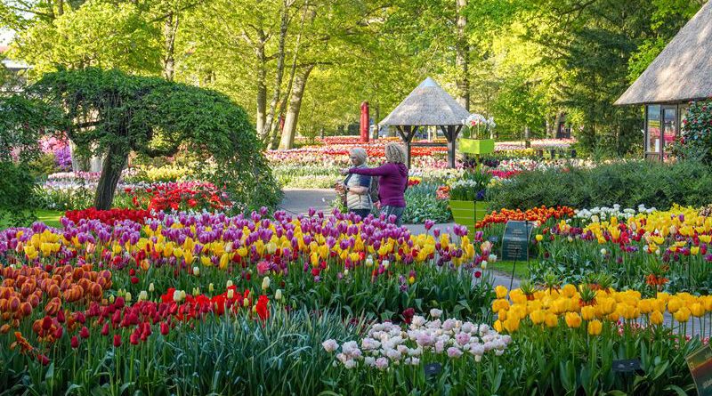 Holandia Keukenhof 2023
