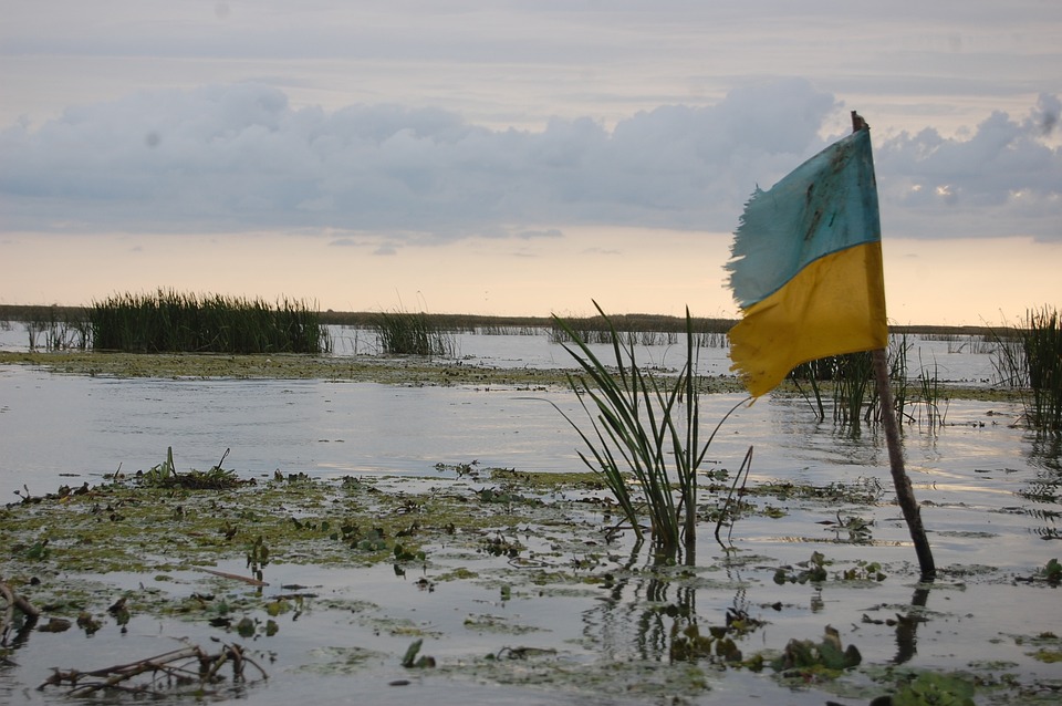 Ukraińcy w Holandii skarżą się na oszustwa i wykorzystywanie w pracy 7 flag 945788 960 720