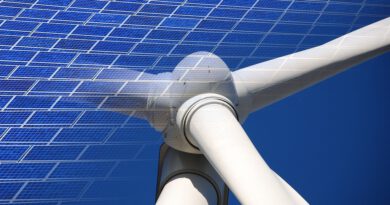 Holandia wiatraki fotowoltaika energia odnawialna