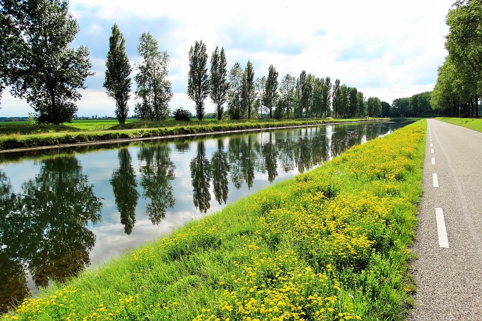 Holandia `2023: Mandaty (niektóre) mocno w górę! 2 water 2744868 960 720