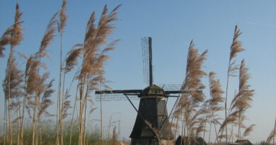 Holandia Kinderdijk wiatraki 2023