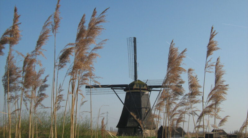 Holandia Kinderdijk wiatraki 2023
