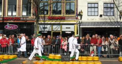 Holandia Alkmaar ser 2023