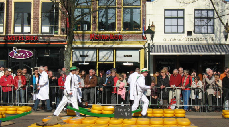 Holandia Alkmaar ser 2023