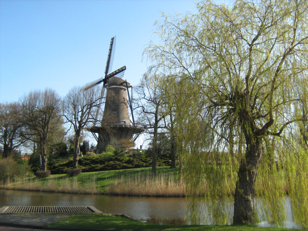 Alkmaar: Światowa stolica… sera 11 IMG 5168