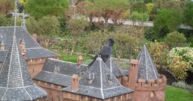 Holandia Haga Madurodam