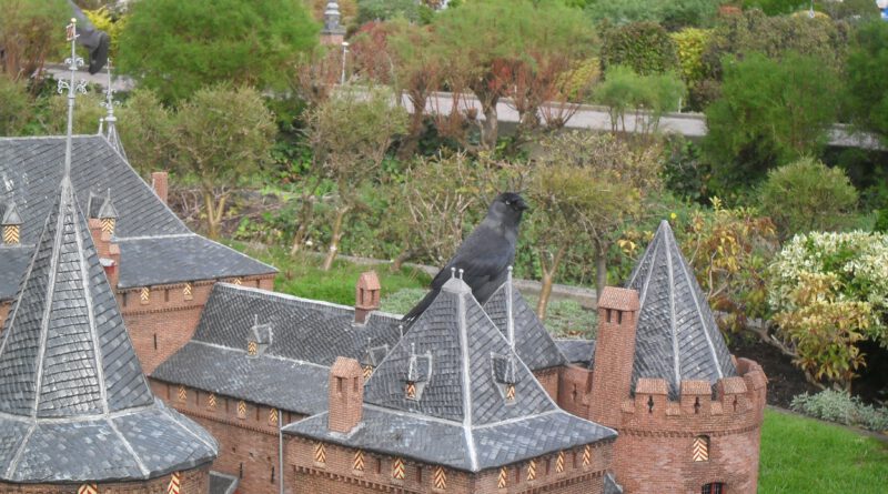 Holandia Haga Madurodam