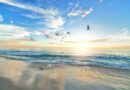 Holandia Haga Wassenaar plaża 2023