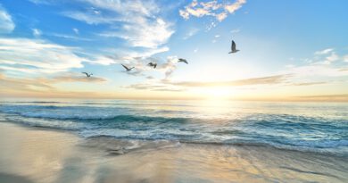 Holandia Haga Wassenaar plaża 2023