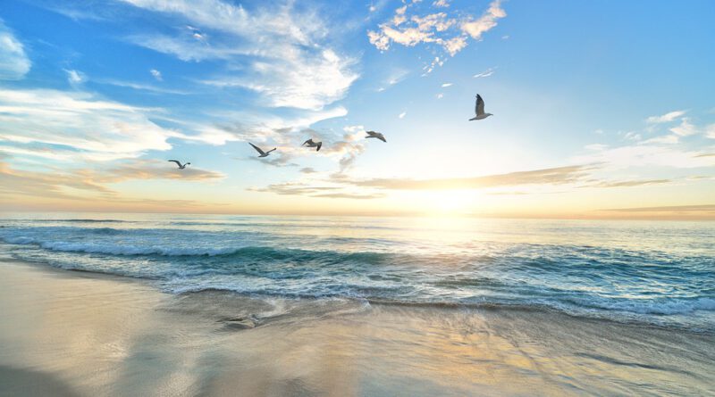 Holandia Haga Wassenaar plaża 2023