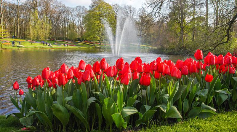 Holandia Keukenhof koniec 2023