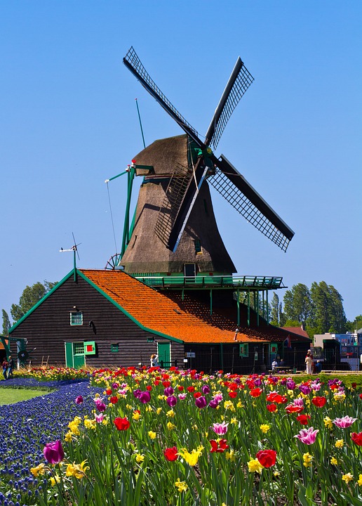 13 i 14 maja: 50. Narodowy Dzień Młyna (Nationale Molendag) 10 windmill 858143 960 720