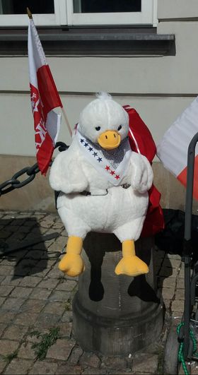 348362263 1196343957743187 1113099473792949910 n