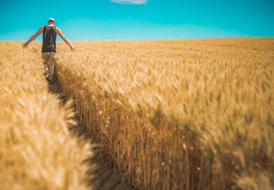 Holandia Unia Europejska Polska Ukraina zboże import 2023