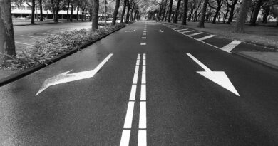 Holandia 30 km/h