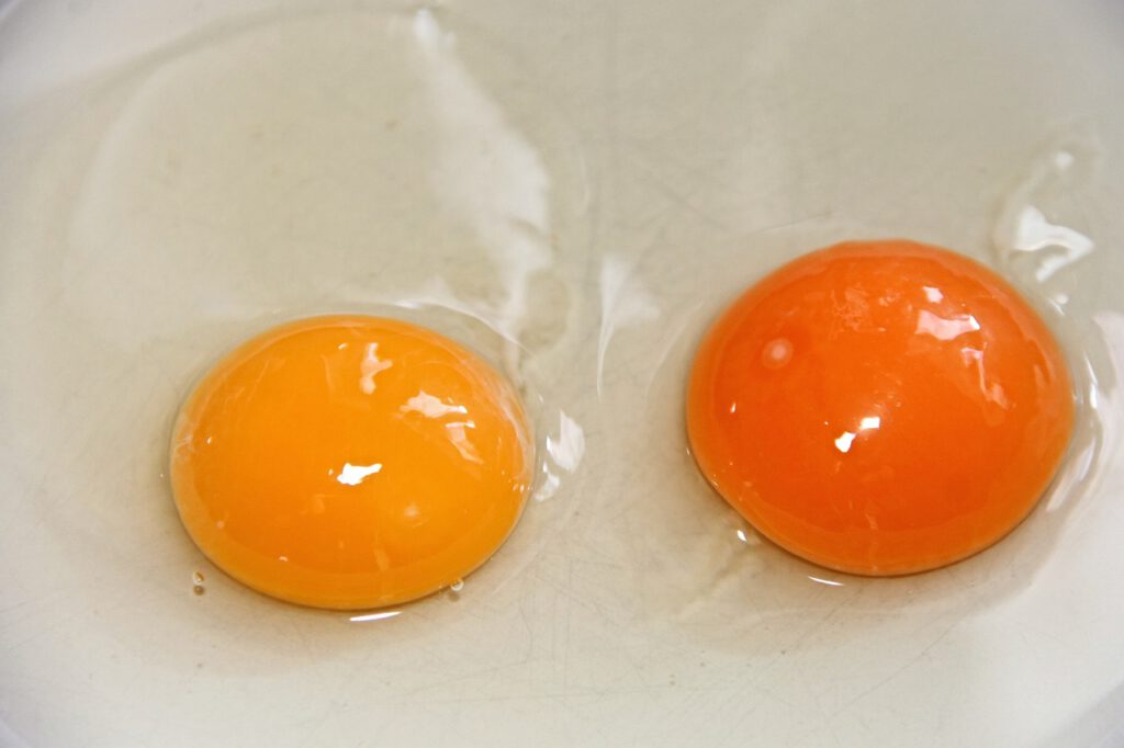 egg yolk 3193918 1280