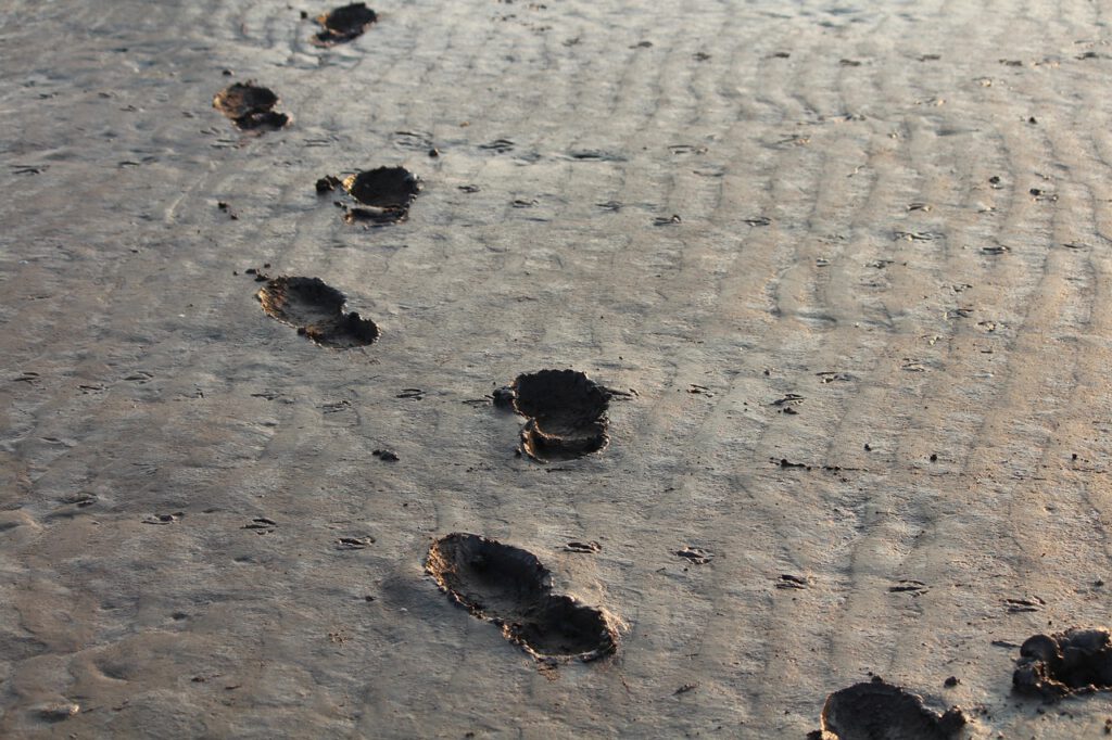 footprints 284708 1280