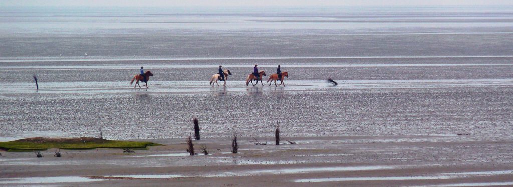 mudflat 6575729 1280
