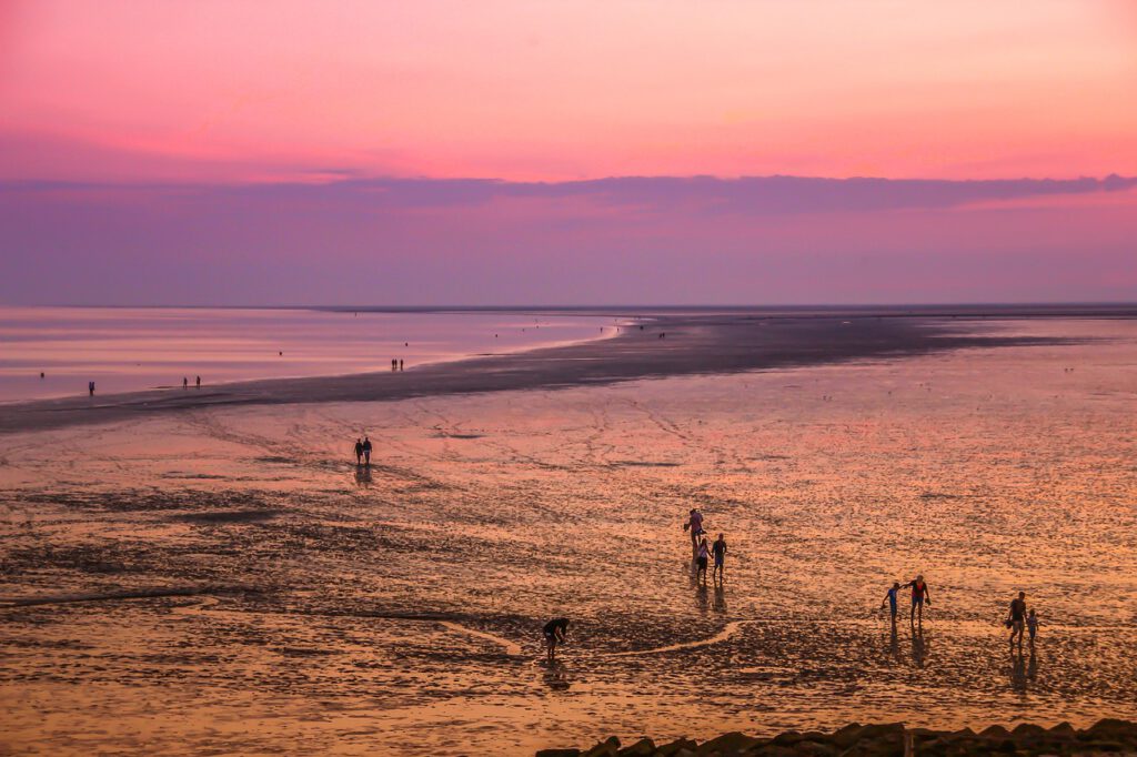 mudflat hiking 4285877 1280