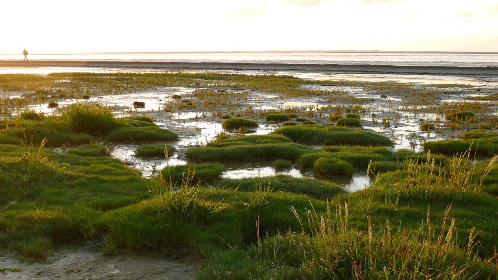 wattenmeer 2243770 1280