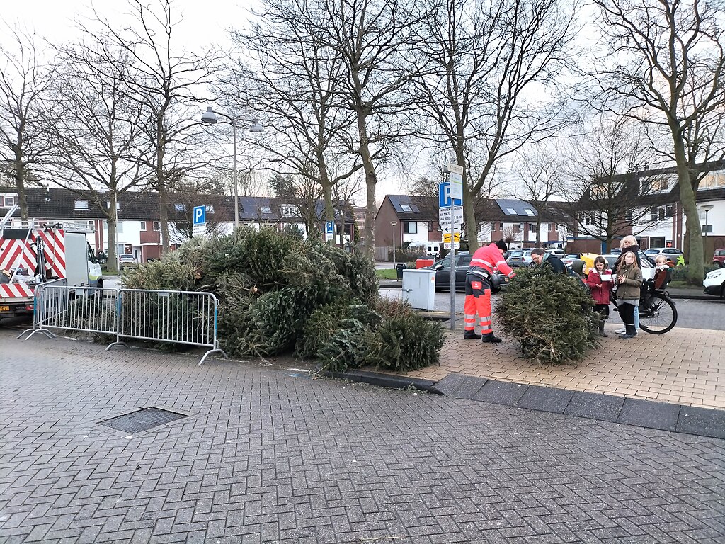 Kerstbomen inleveren