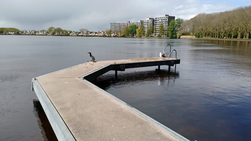 IMG 20240424 122831 6